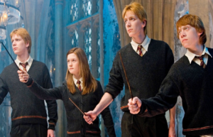 Role of the Weasleys and the Dursleys.