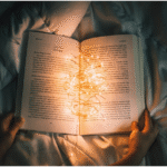 Mystery Book Series