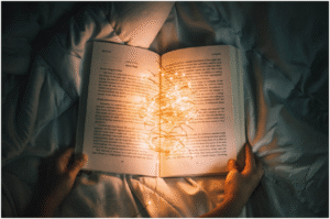 Mystery Book Series